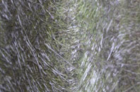 Fleetville fibreglass roof work